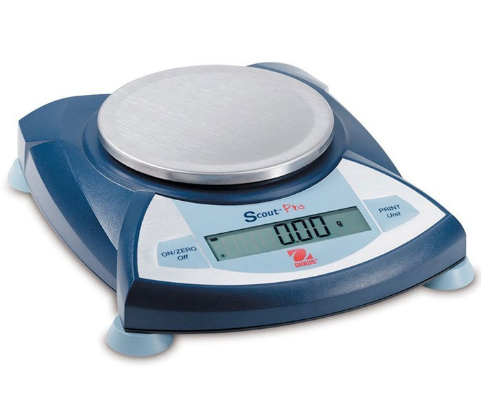 Precision scale inspection activity for industrial weighing equipment