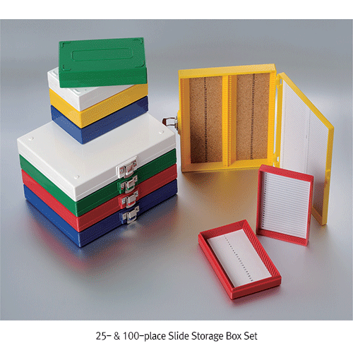 Microscope accessories used for imaging, calibration, and maintenance